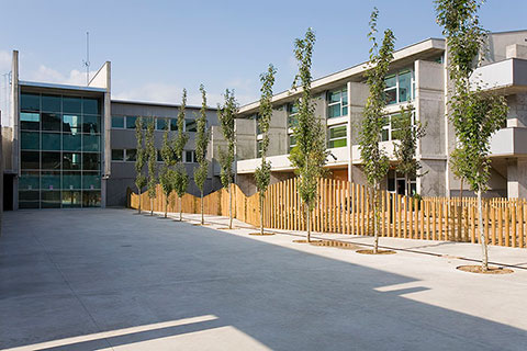 CEIP Montagut. Santa Susana